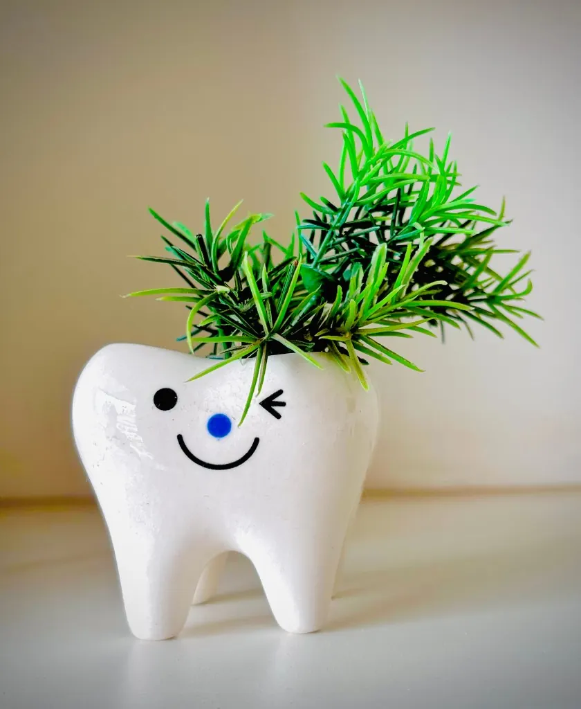 Ceramic tooth planter with a smiling face and green plant